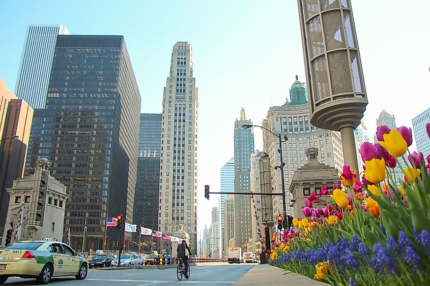 magnificent mile chicago