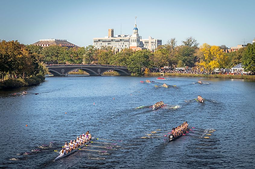 Many teams race in the Head of the Charles Regatta.