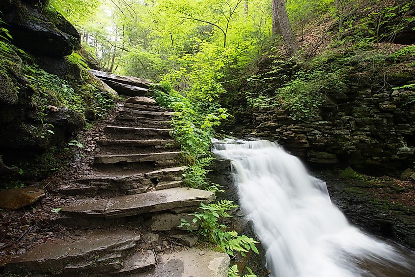 Scenic waterfall in the Ricketts Glen State Park in the Poconos in Pennsylvania.