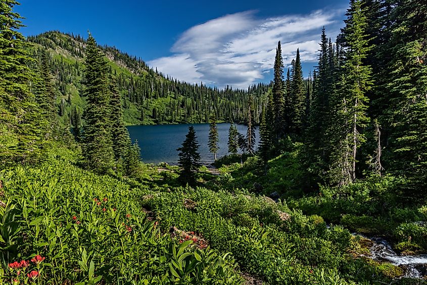 Wildcat Lake in the Jewel Basin Hiking Area of Flathead National Forest, Montana, USA