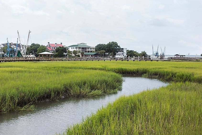 A view of a bend of Shem Creek flowing through the marsh grass