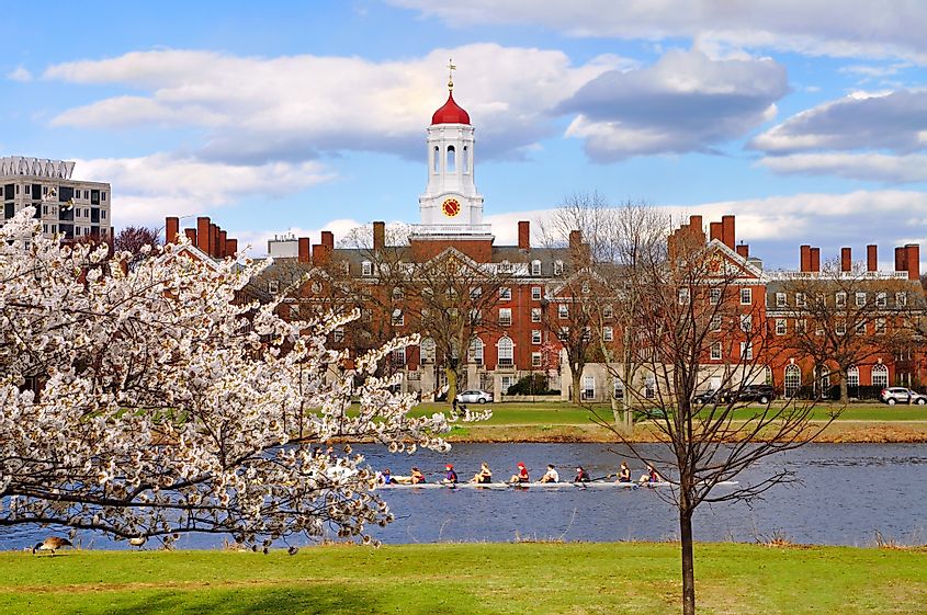 A view of Harvard University in spring