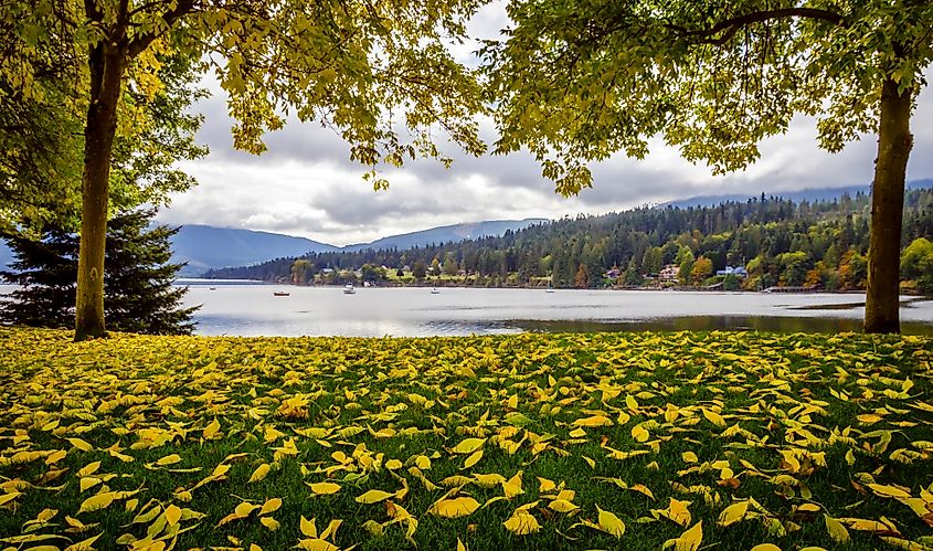 Blick aufgenommen in Sequim an der Küste der Olympic-Halbinsel in Washington.