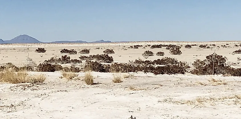 Salt Flat, Hudspeth County, Texas. The salt pan is a gypsum playa.