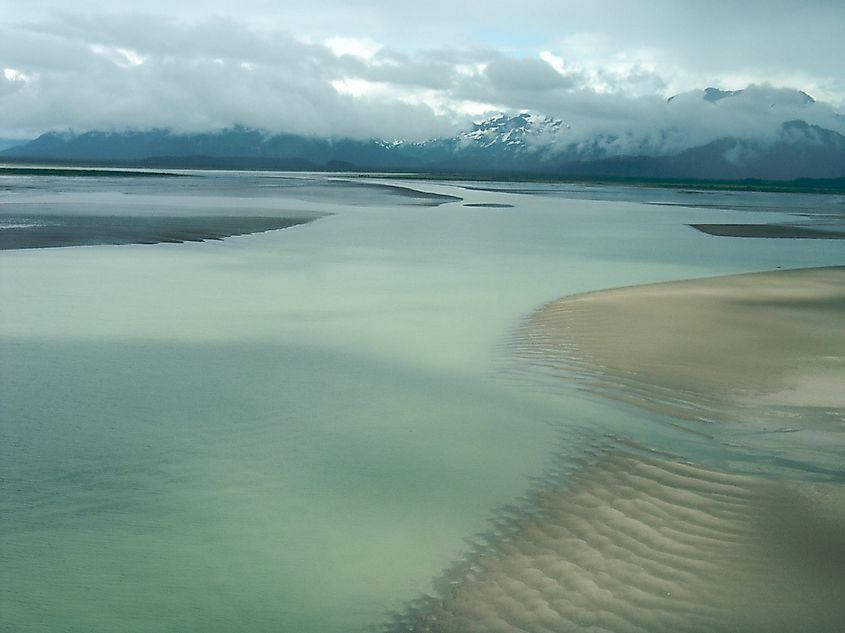 Copper River Delta, Alaska (Sam Beebe/Ecotrust, CC BY-SA 3.0, via Wikimedia Commons)