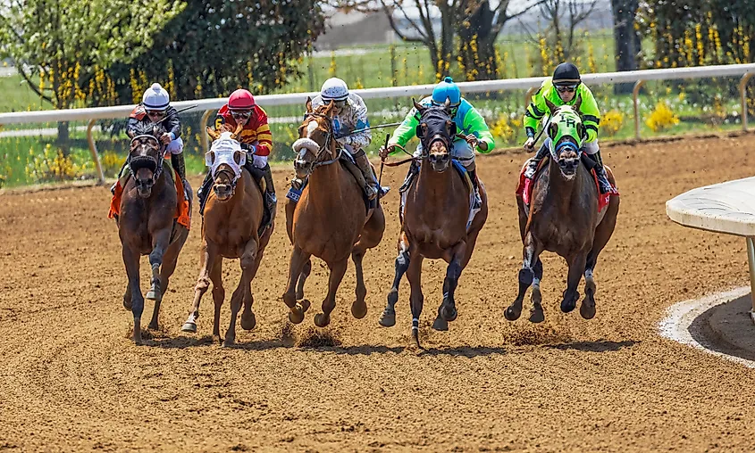 Thoroughbred horse racing at Keeneland race track at spring meet in Lexington, Kentucky