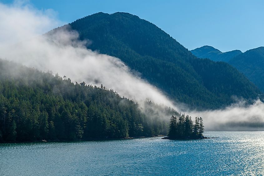 Mist along the coastline near Port Hardy, British Columbia.