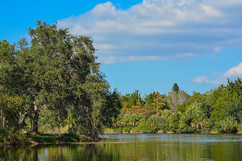 Lake Seminole