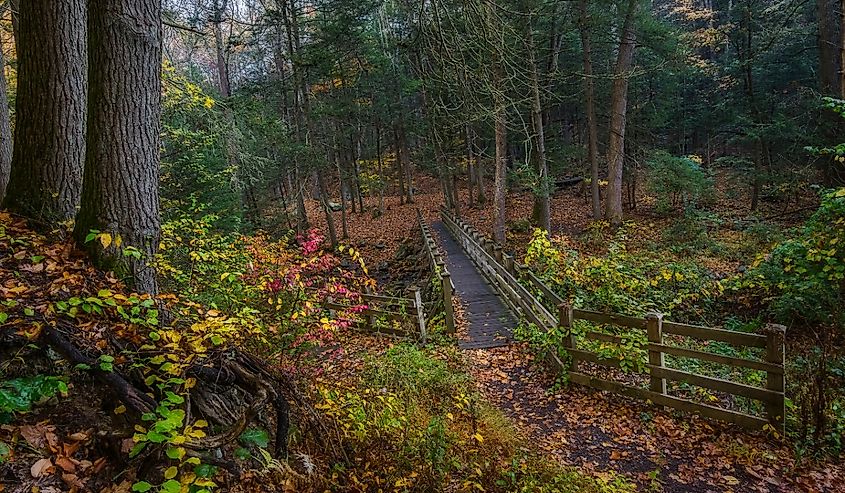 Autumn by the foot bridge at Kettletown State Park in Southbury, Connecticut