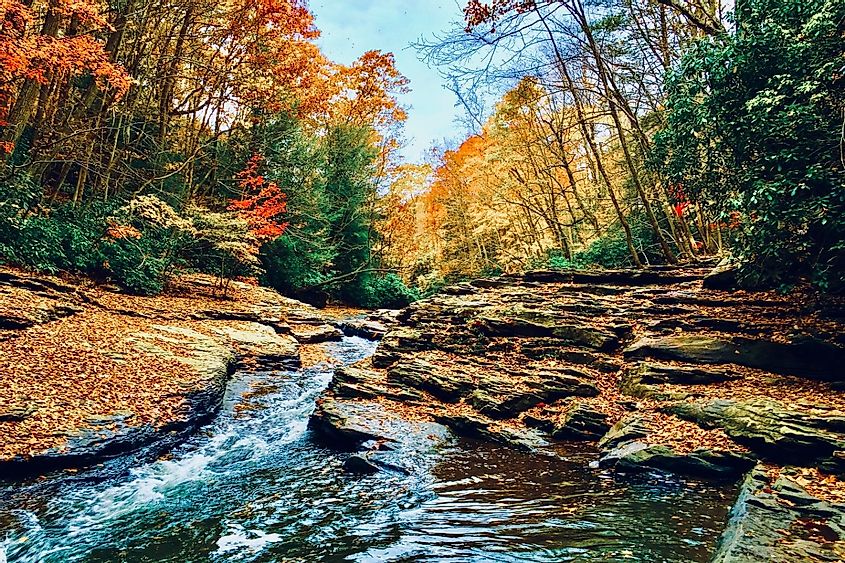 Ohiopyle State Park in Pennsylvania with rushing water and fall colors