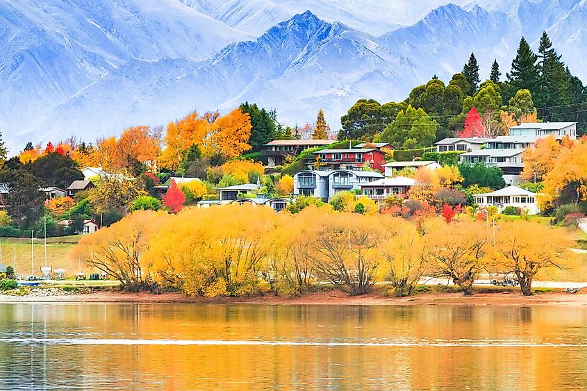 Красивый пейзаж дерева ванака, Новая Зеландия, облачный осенью