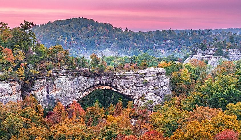 Daniel Boone National Forest, Kenucky, at the Natural Arch at dusk in autumn.