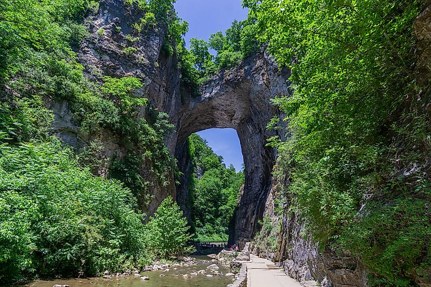 The Natural Land Bridge in Virginia