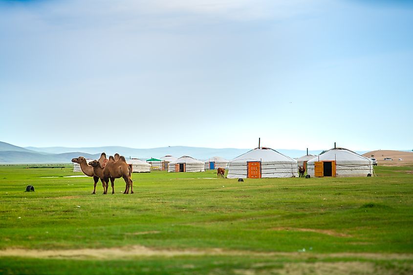 The Gobi Desert, a large, cold desert and grassland region located in northern China and southern Mongolia.