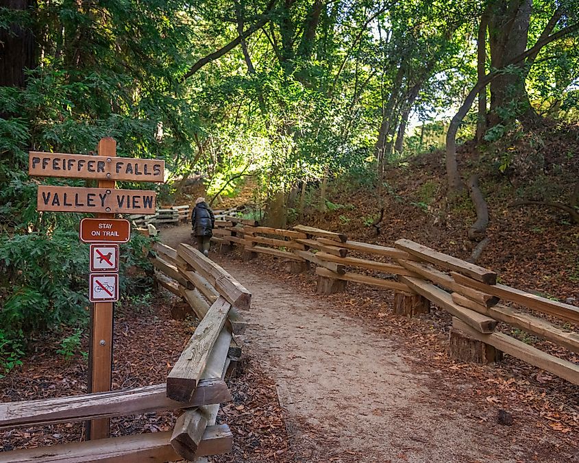 Pfeiffer Falls trail in Pfeiffer Big Sur State Park, Big Sur, CA.