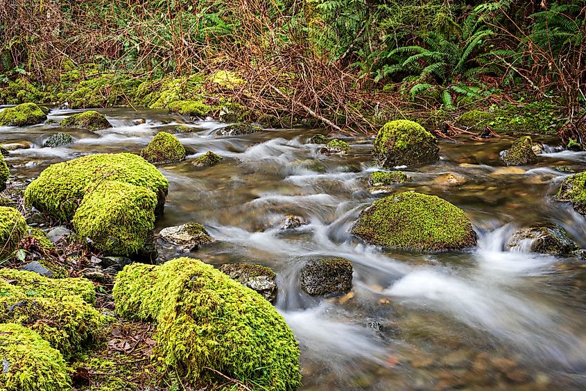 A waterfall at Sooke Potholes Provincial Park.