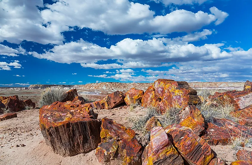Petrified wood logs and eroded terrain at Petrified Forest National Park, Arizona.