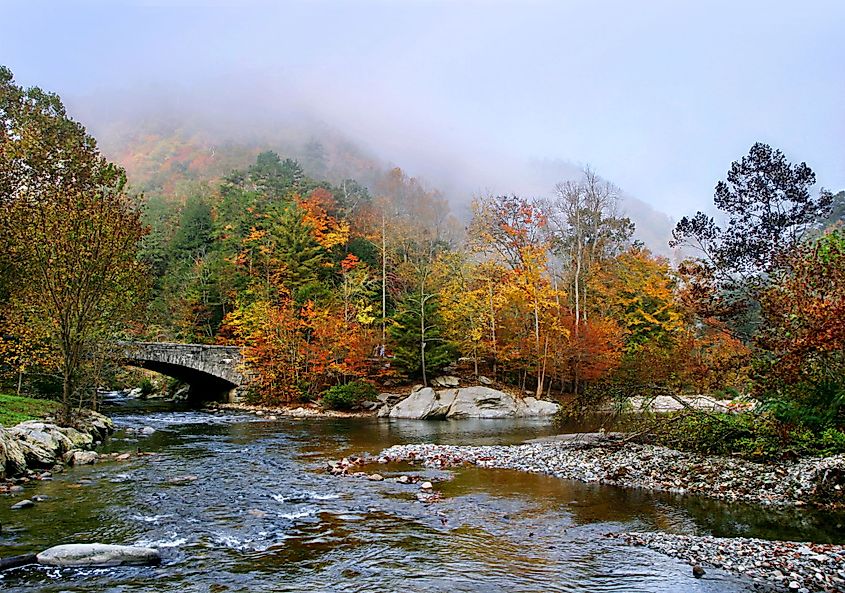 At the confluence of the Cedar Creek and the Little River in Great Smoky Mountains National Park