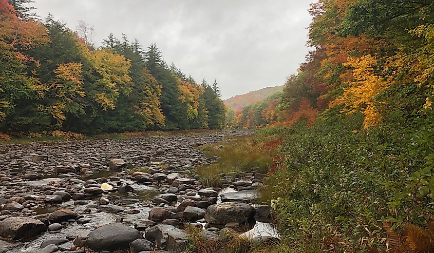 Hiking on the Northville-Lake Placid Trail (Adirondacks, NY)