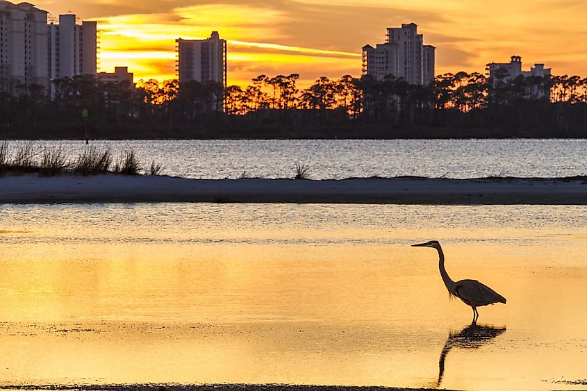 Perdido Key