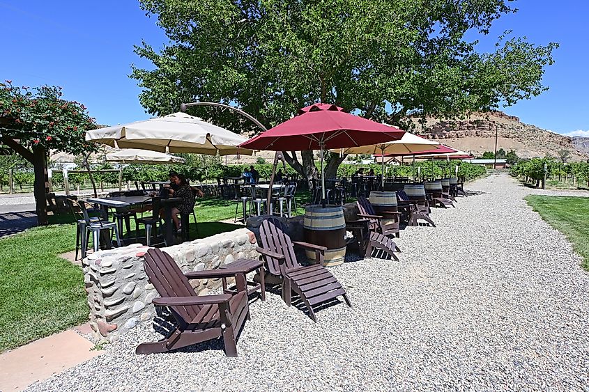 Winery and vineyards on clear sunny summer morning with desert mesa landscape in background.
