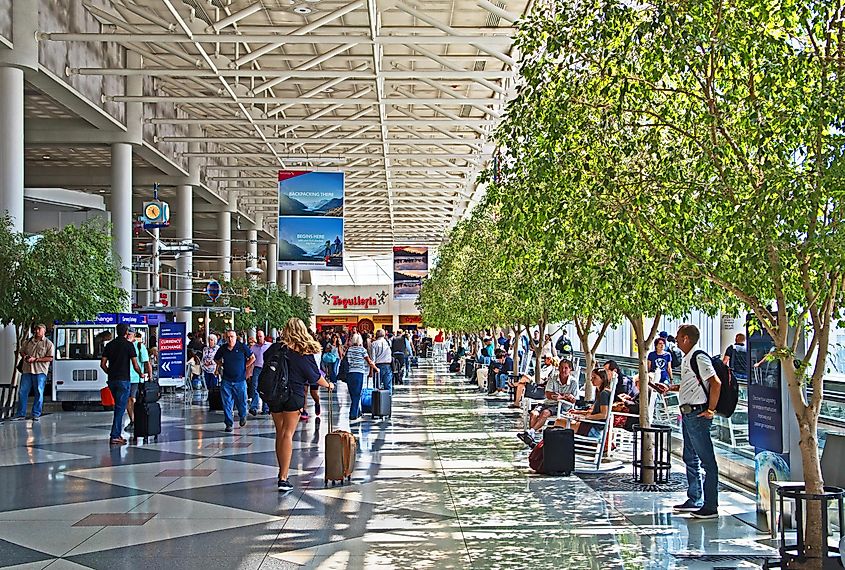 busy central concourse at Charlotte Douglas International airport.