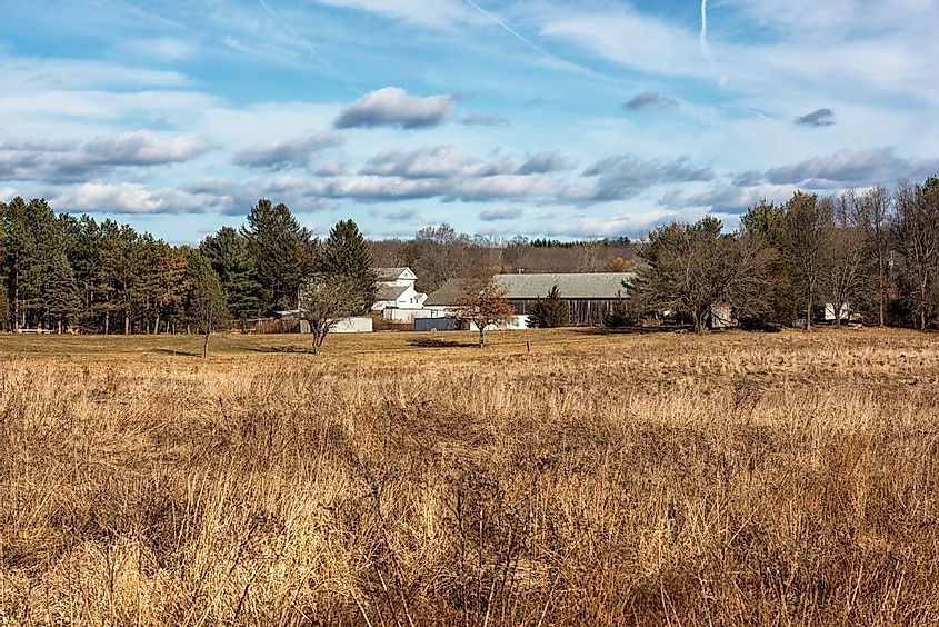 Farmland near South Windsor, Connecticut.