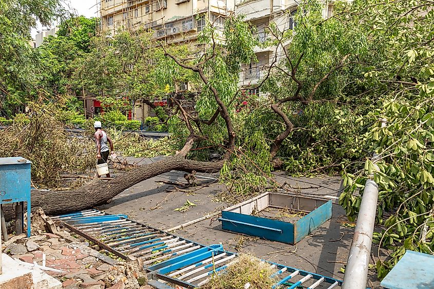 Cyclone Amphan climate change