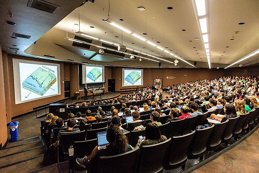 University of texas