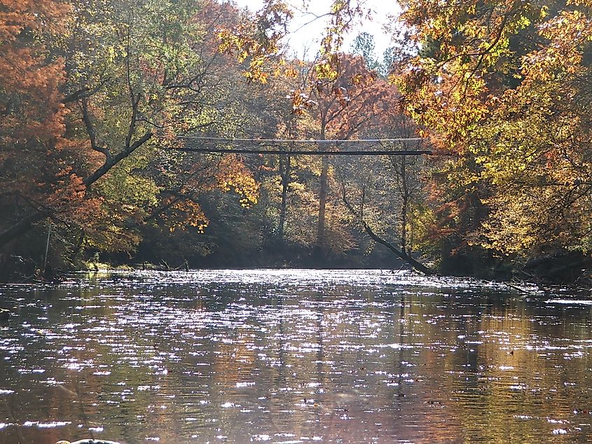 Swinging Bridge over Bear Creek in Tishomingo State Park.