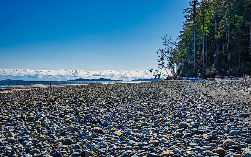 The pebbled shore of Qualicum Beach.