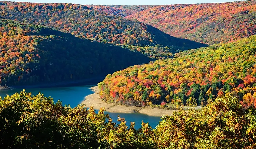 Curving Autumn River at Allegheny National Forest