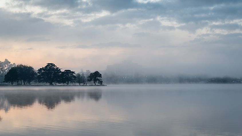 Lakeside buildings hidden in the fog at Hamilton lake (also known as Lake Rotoroa) at sunrise, Hamilton, New Zealand.