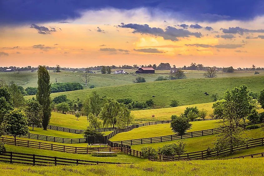 Farm fields in La Grange, Kentucky.