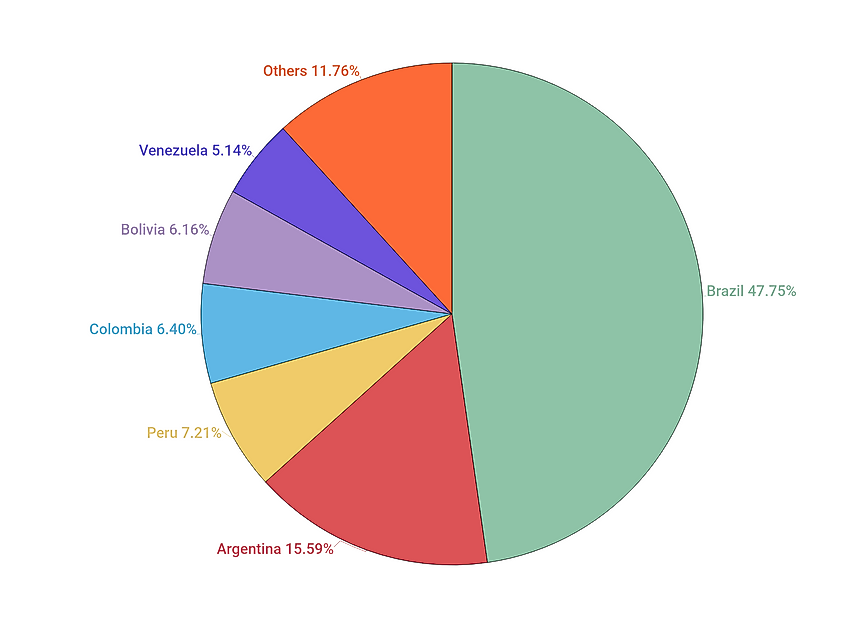 The Largest Countries In South America Worldatlas