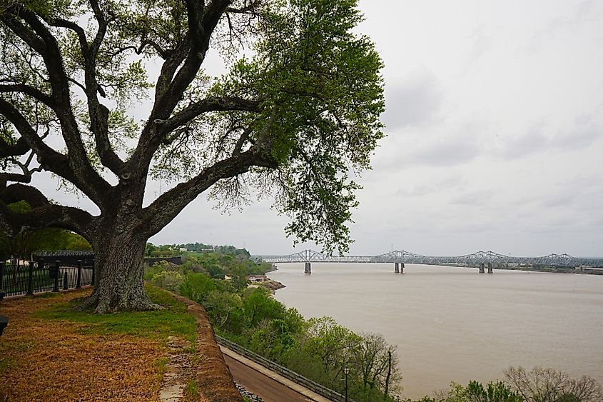 Mississippi River and Natchez, Mississippi on the Natchez Trace Parkway.