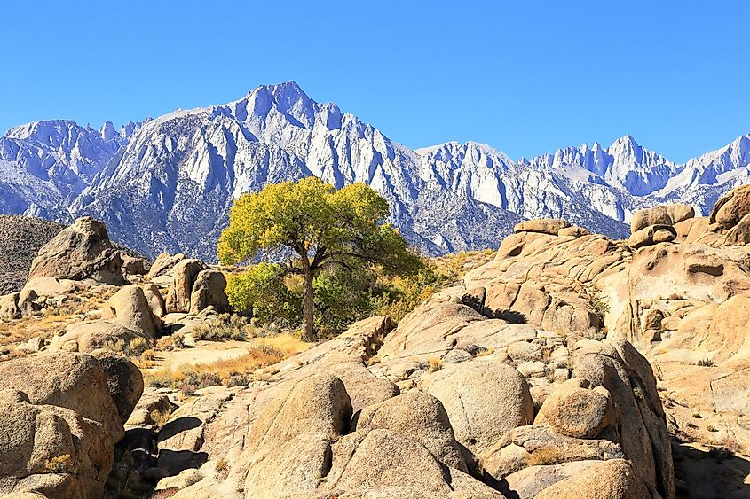 Alabama Hills with Sierra Nevada in the background in Lone Pine, California