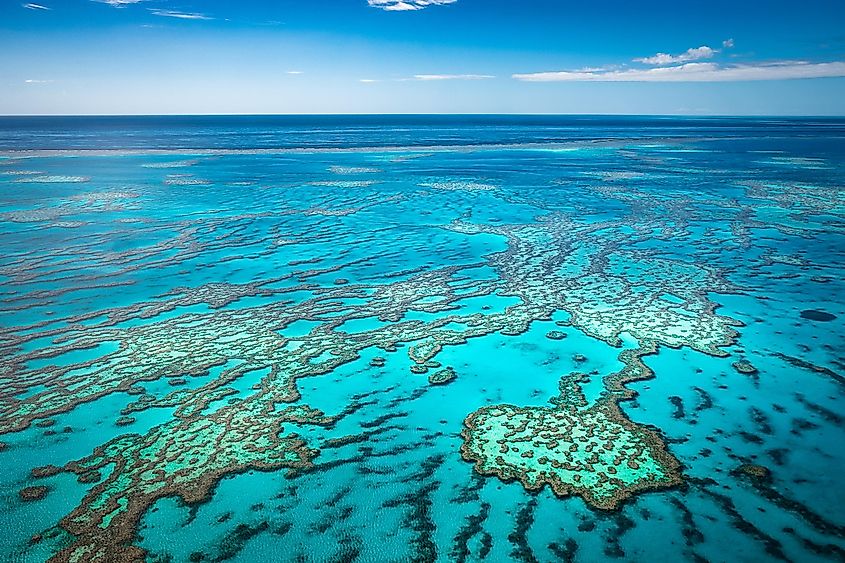 Great Barrier Reef in Australia