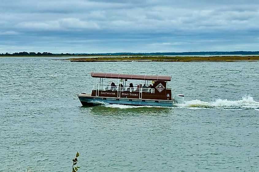 Saltwater Pony Tours boat image credit Bryan Dearsley