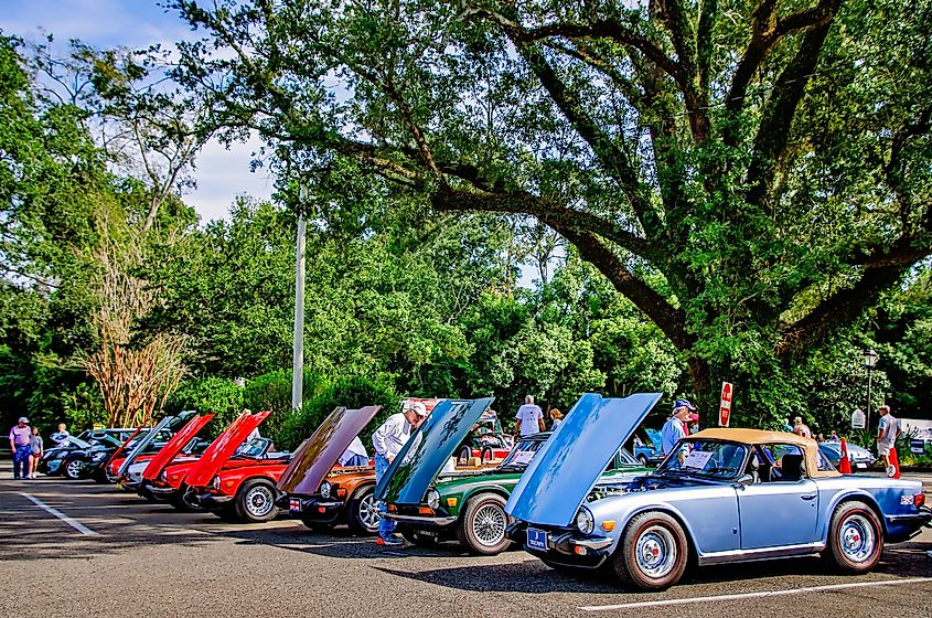 Vintage Triumphs displayed at a car festival in Fairhope, Alabama.