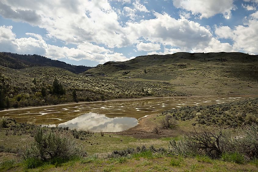Spotted Lake, just outside of Osoyoos, British Columbia. Early in the season, the lake is full of water, as it is here, and slowly reveals its spots more as it dries up. Photo by Brendan Cane