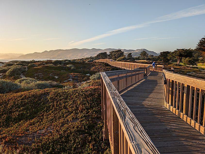Boardwalk at the coastal dunes by Pismo State Beach in Grover Beach, California.