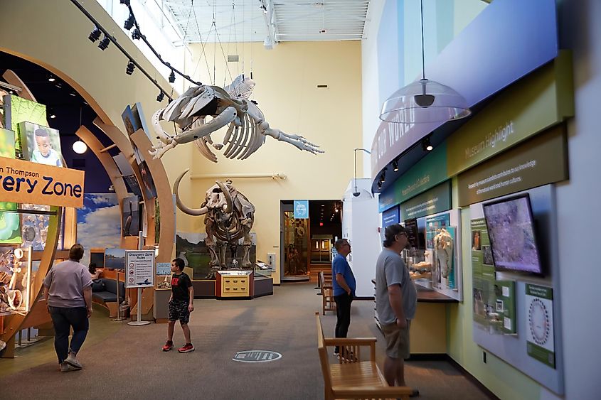Gainesville, FL, USA. April 8, 2023: The Florida Museum of Natural History is Florida's official state-sponsored and chartered natural-history museum. Museum walk in ay Gainesville, FL
