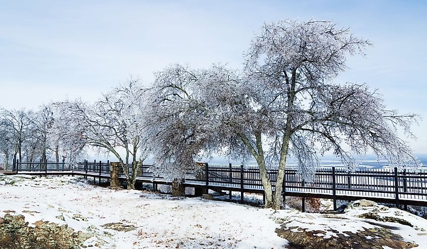 Icy trees at the Boardwalk - a consequence of freezing rain. The observation deck at Petit Jean, Arkansas, United States