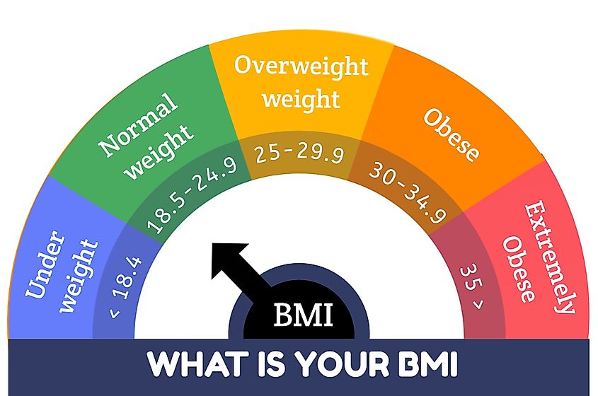 Body Mass Index (BMI), 5 Ranges