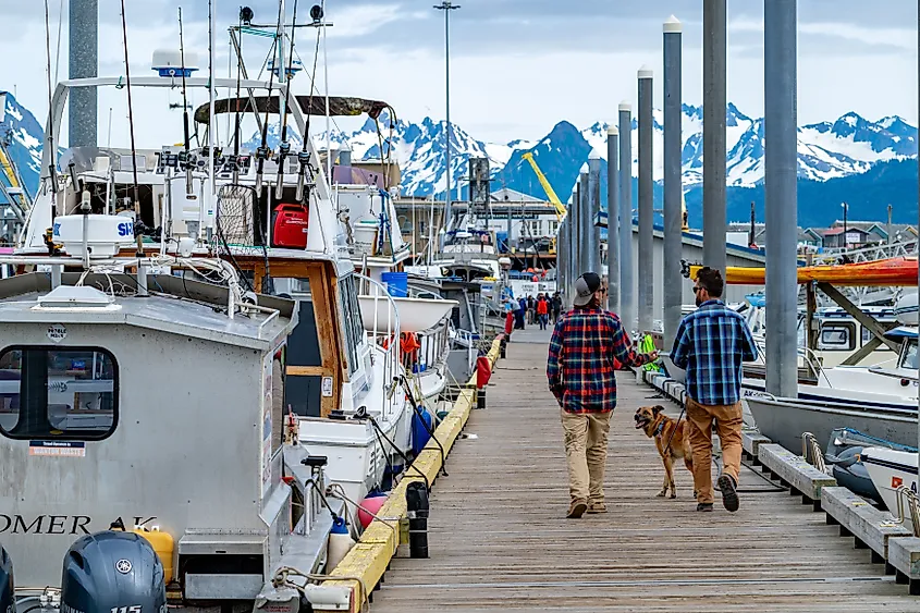 The harbor in Homer, Alaska