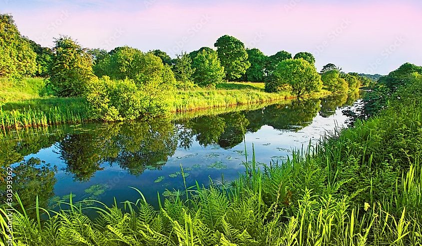 Clyde River, Scotland. Green trees alongside the river. 