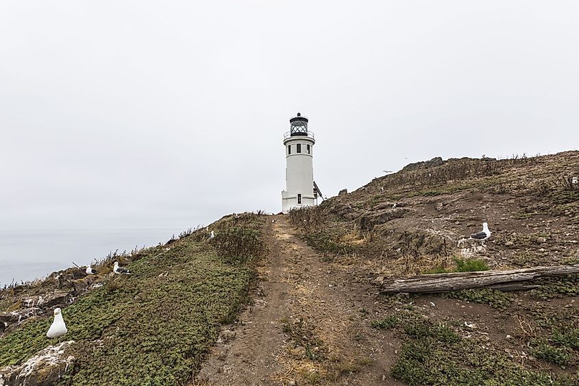 Channel Islands National Park