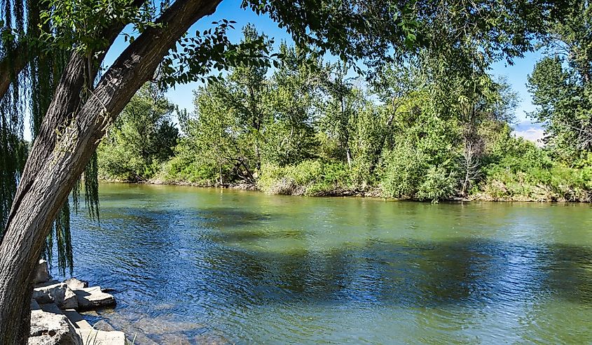 Looking out over the Boise River from Garden City Greenbelt