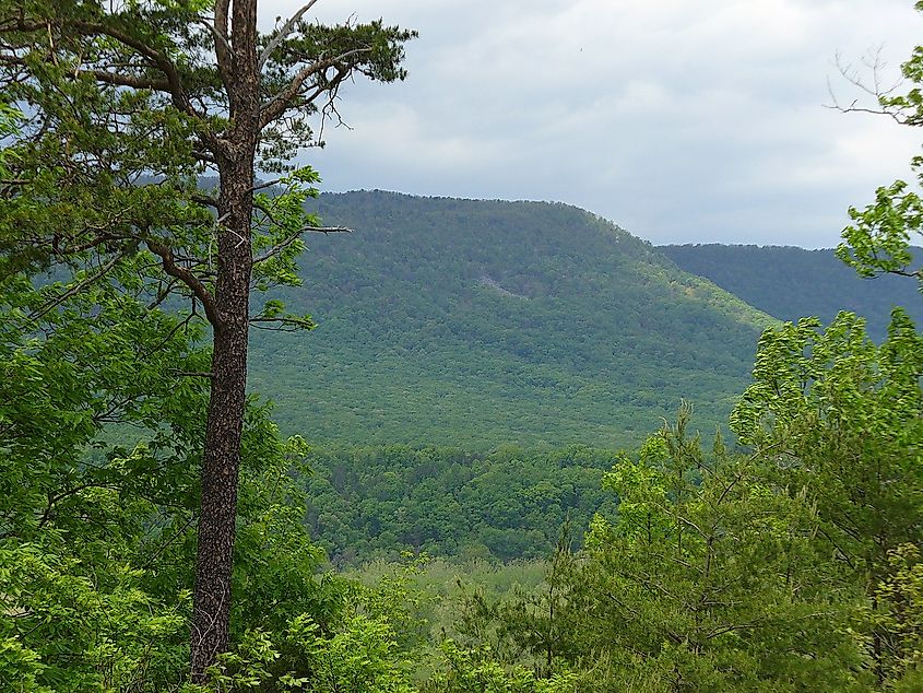 Culler's Overlook, Shenandoah River State Park.